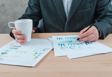 Portfolio Value Creation