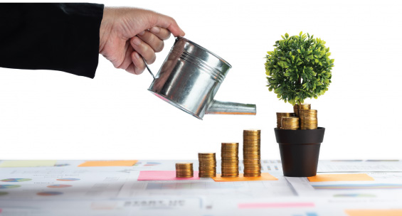 Predictable Returns and Growth