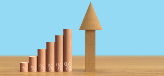 Startups Seeking Balanced Growth and Stability